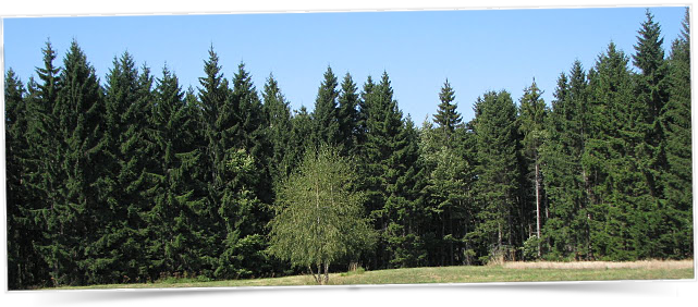 slide3