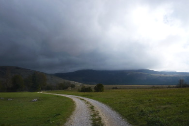 Punar u luci