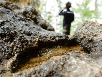 Climbing festival Paklenica 2015