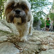 Climbing festival Paklenica 2015