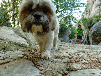 Climbing festival Paklenica 2015